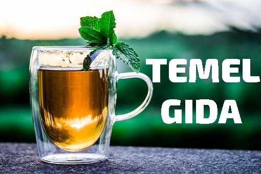 TEMEL GIDA